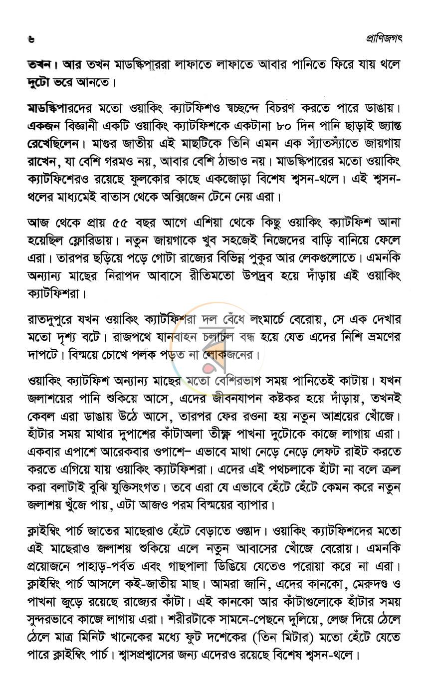 পাতা 11