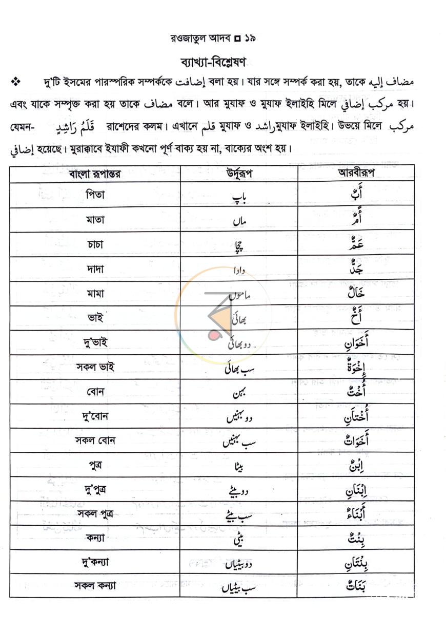 পাতা 9