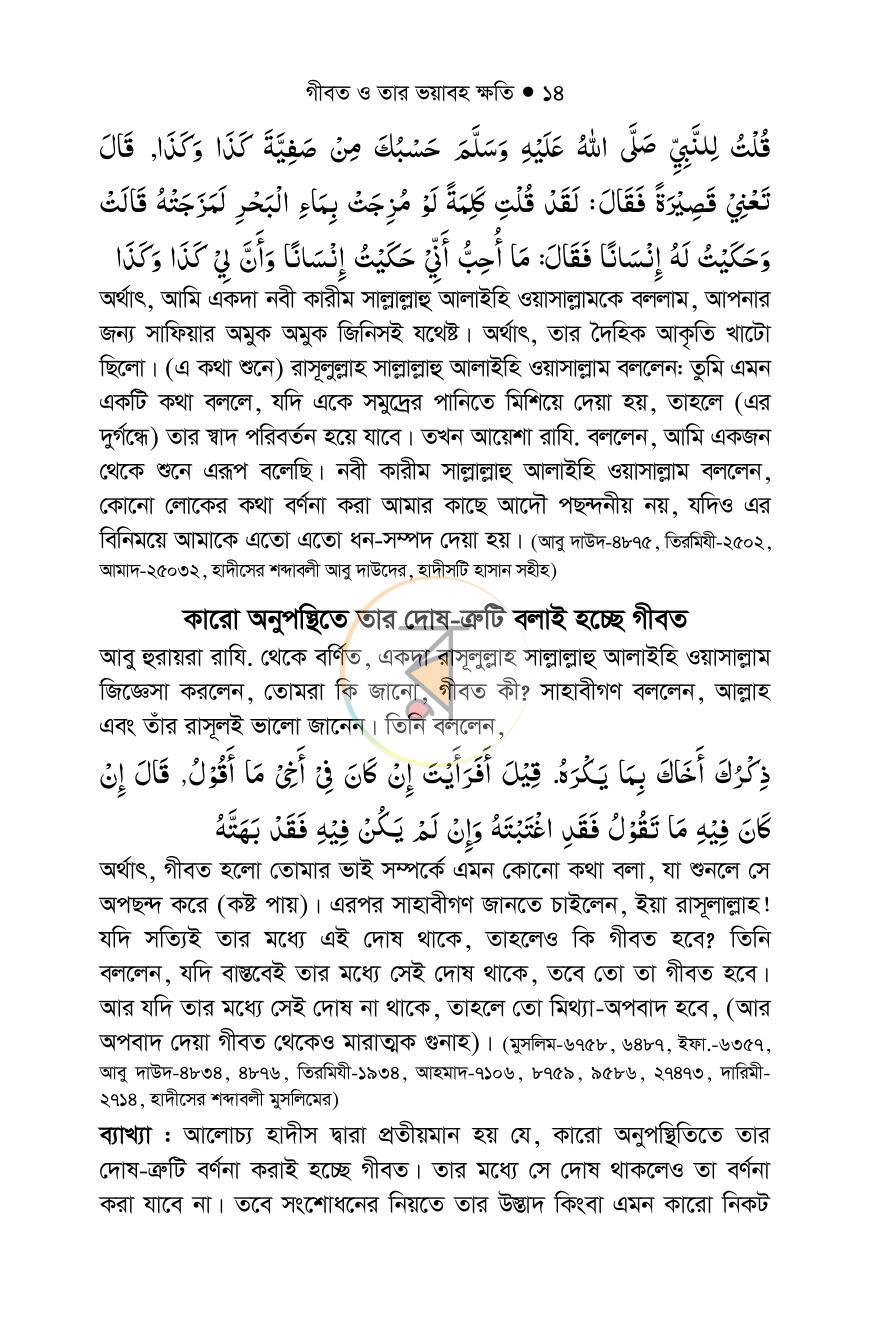 পাতা 13