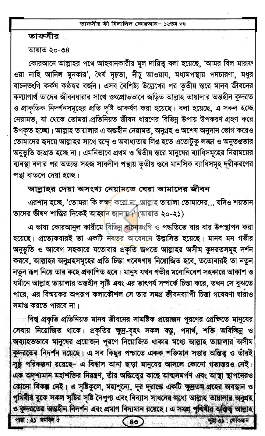 পাতা 11