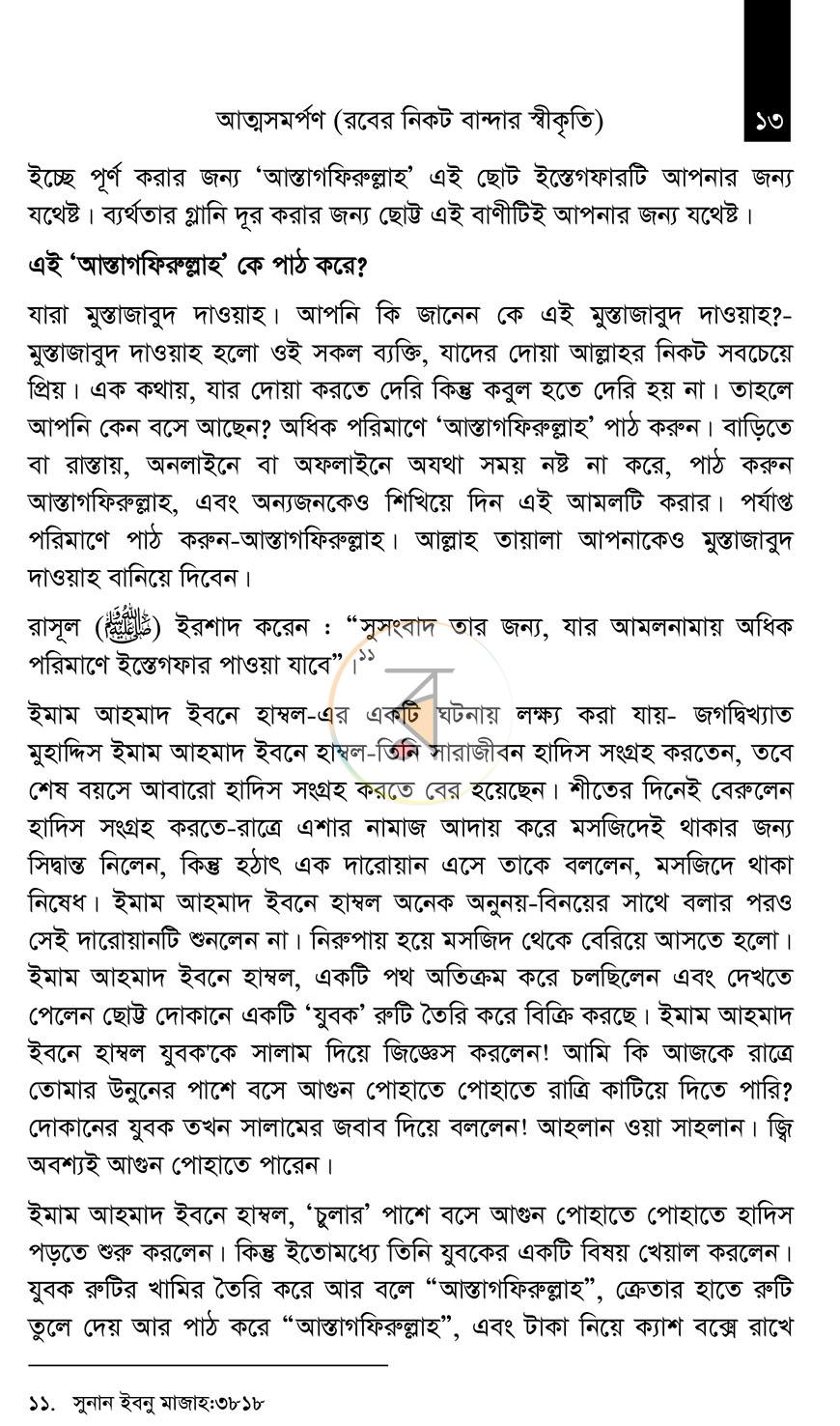 পাতা 13