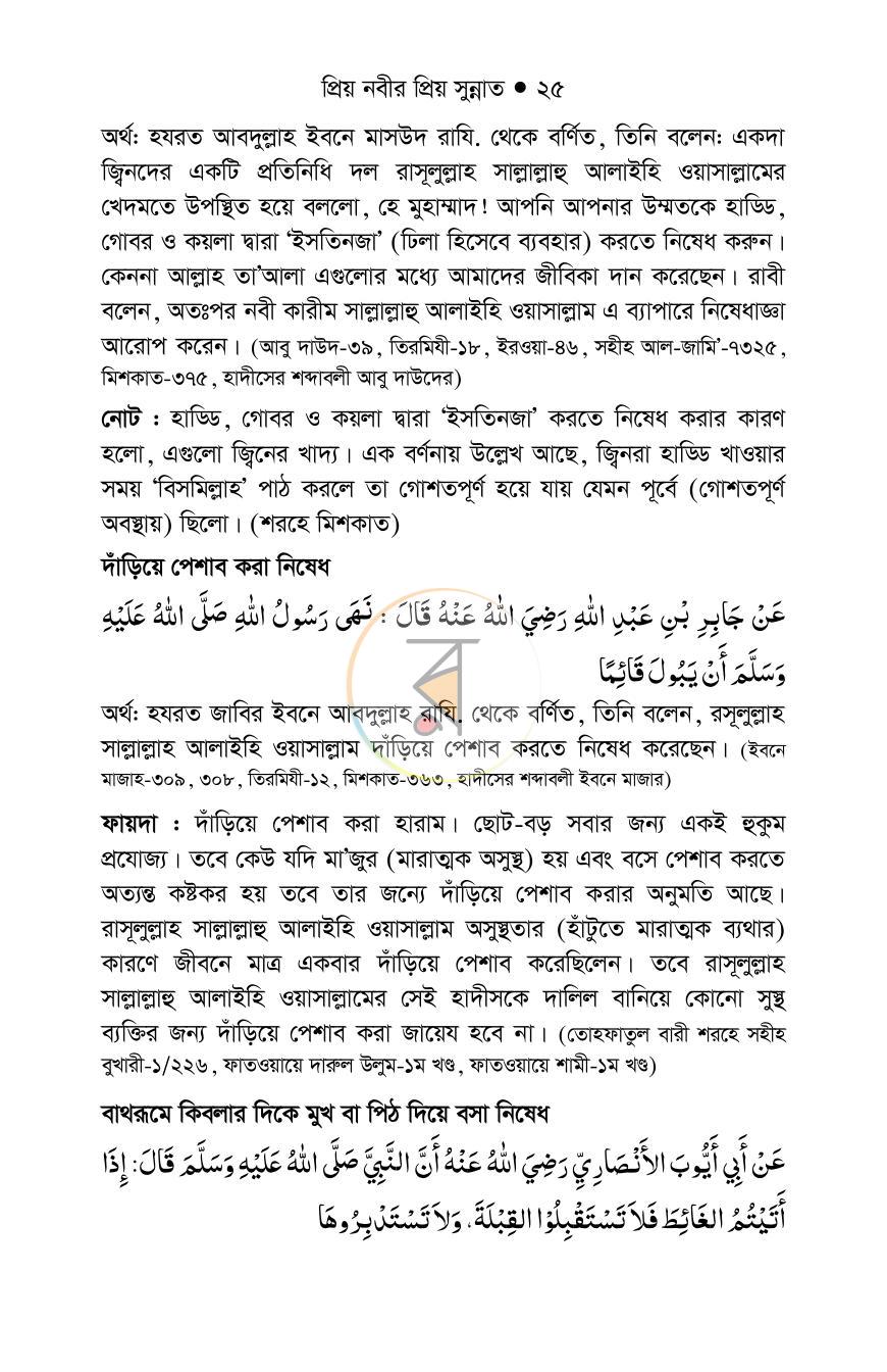 পাতা 24