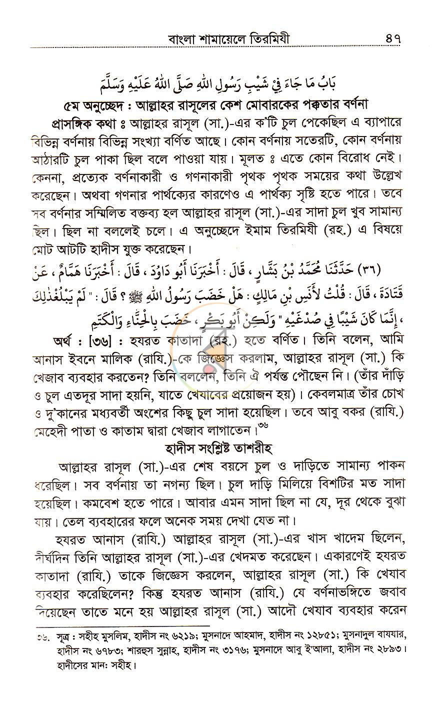 পাতা 13