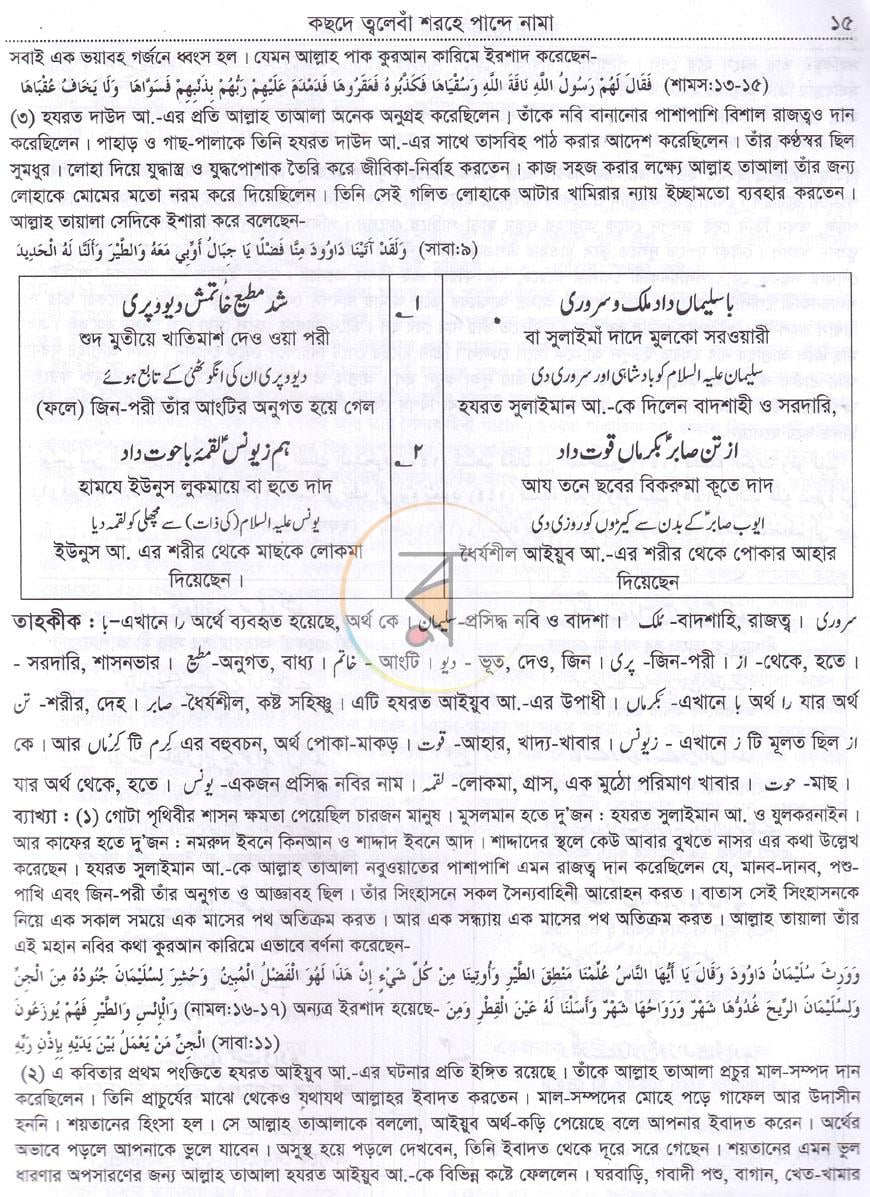 পাতা 9