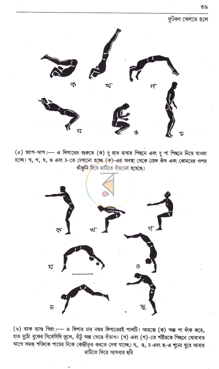 পাতা 8
