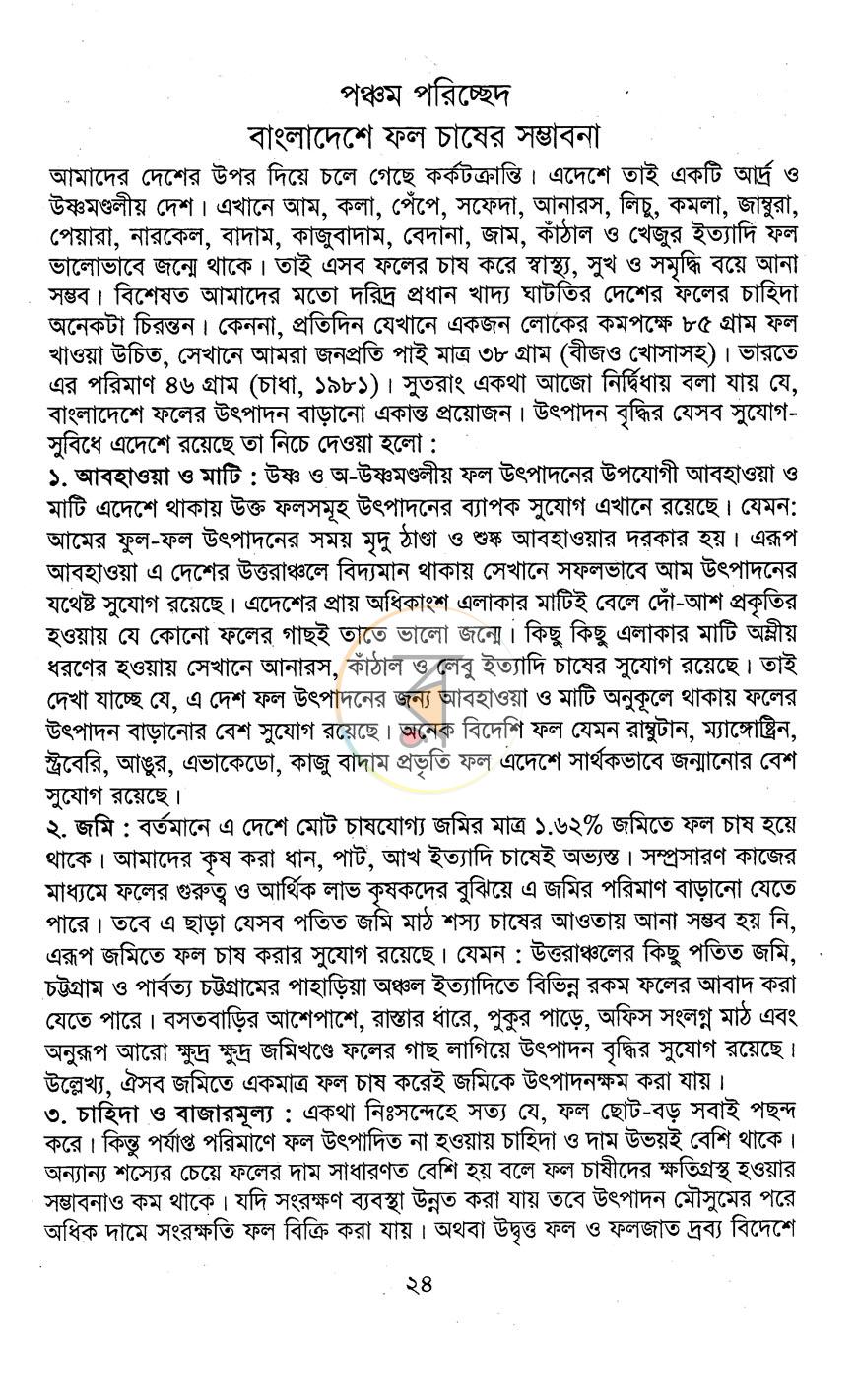 পাতা 12