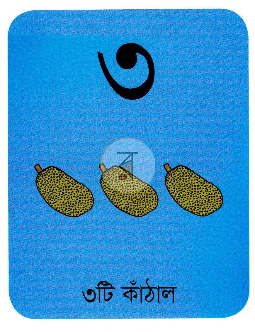 পাতা 3