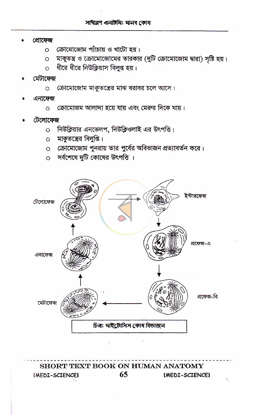 পাতা 20