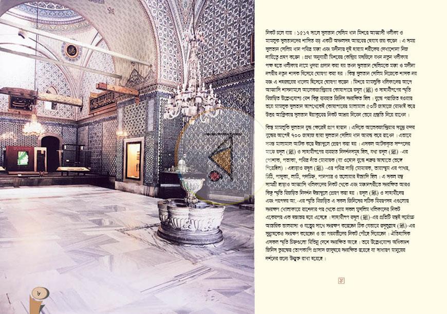 পাতা 8