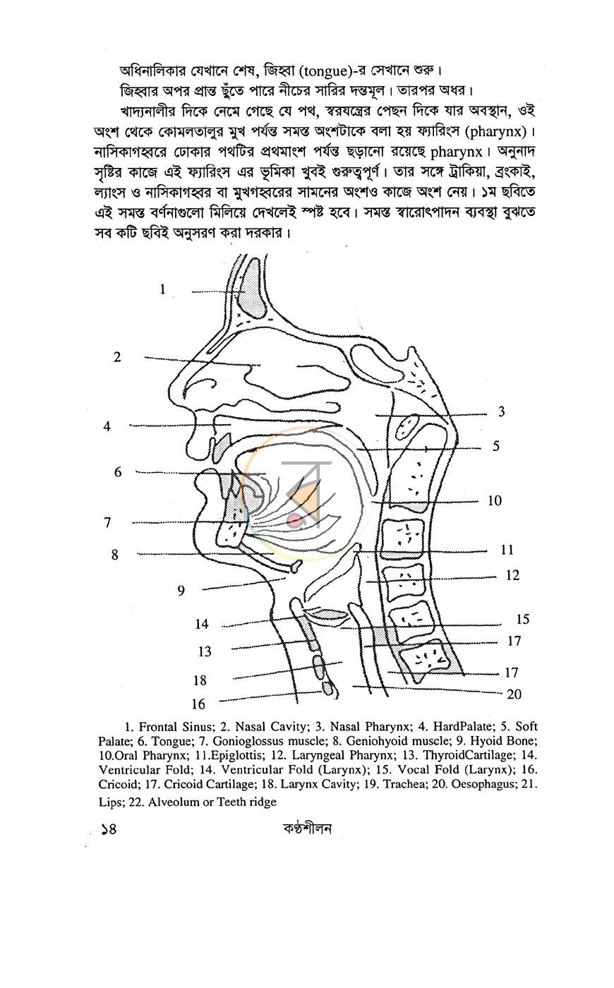 পাতা 9
