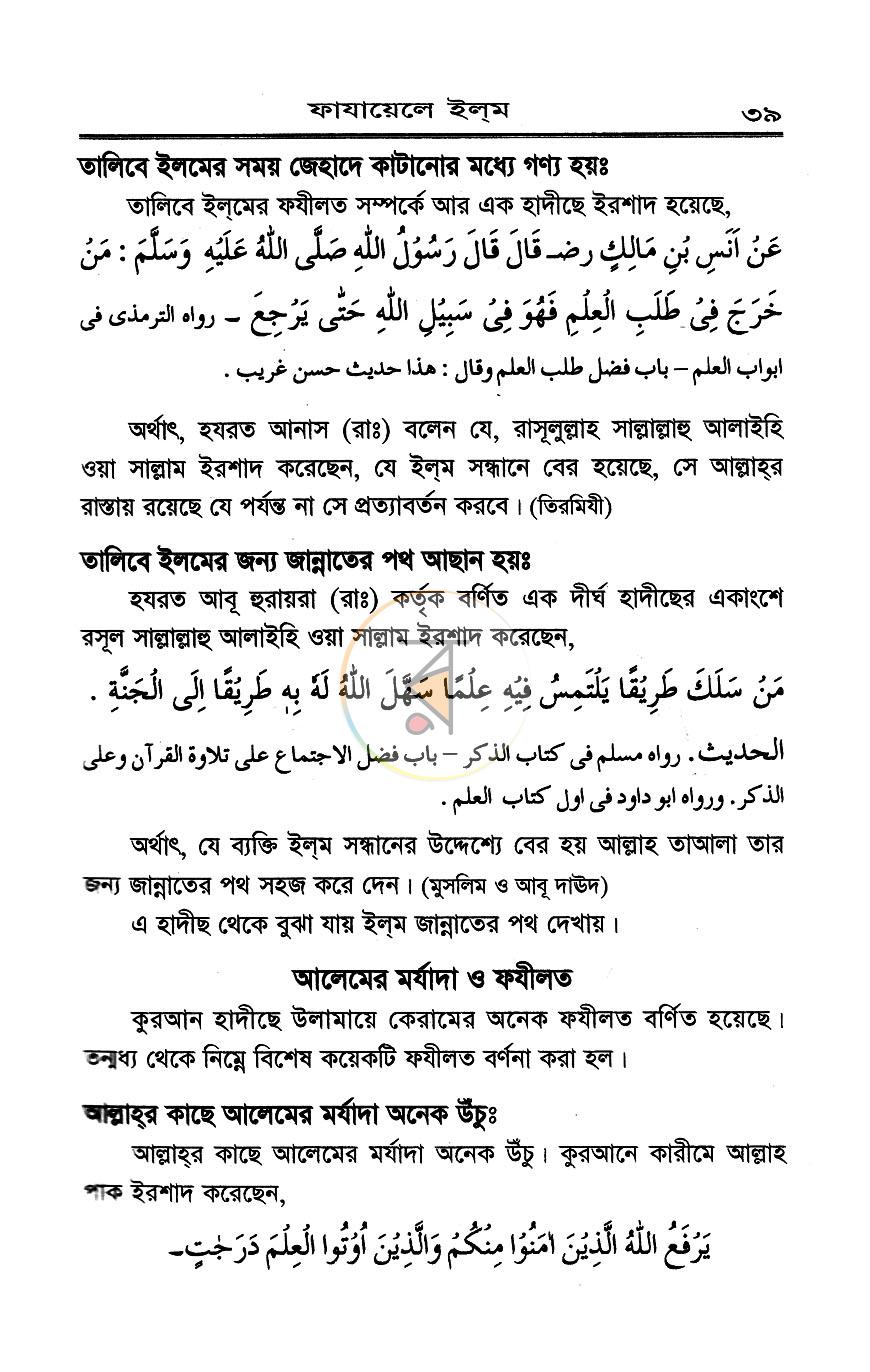 পাতা 11