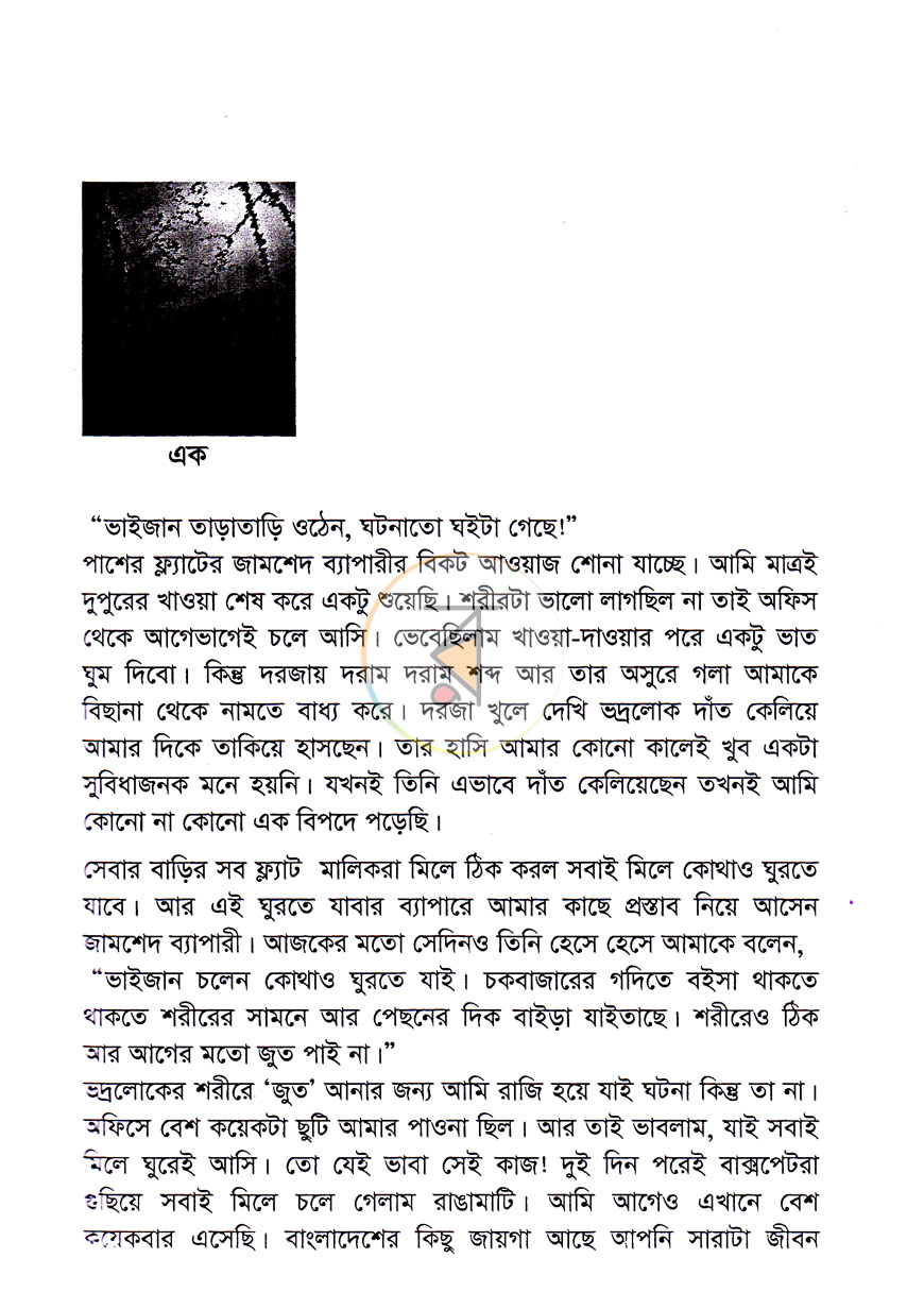 পাতা 3