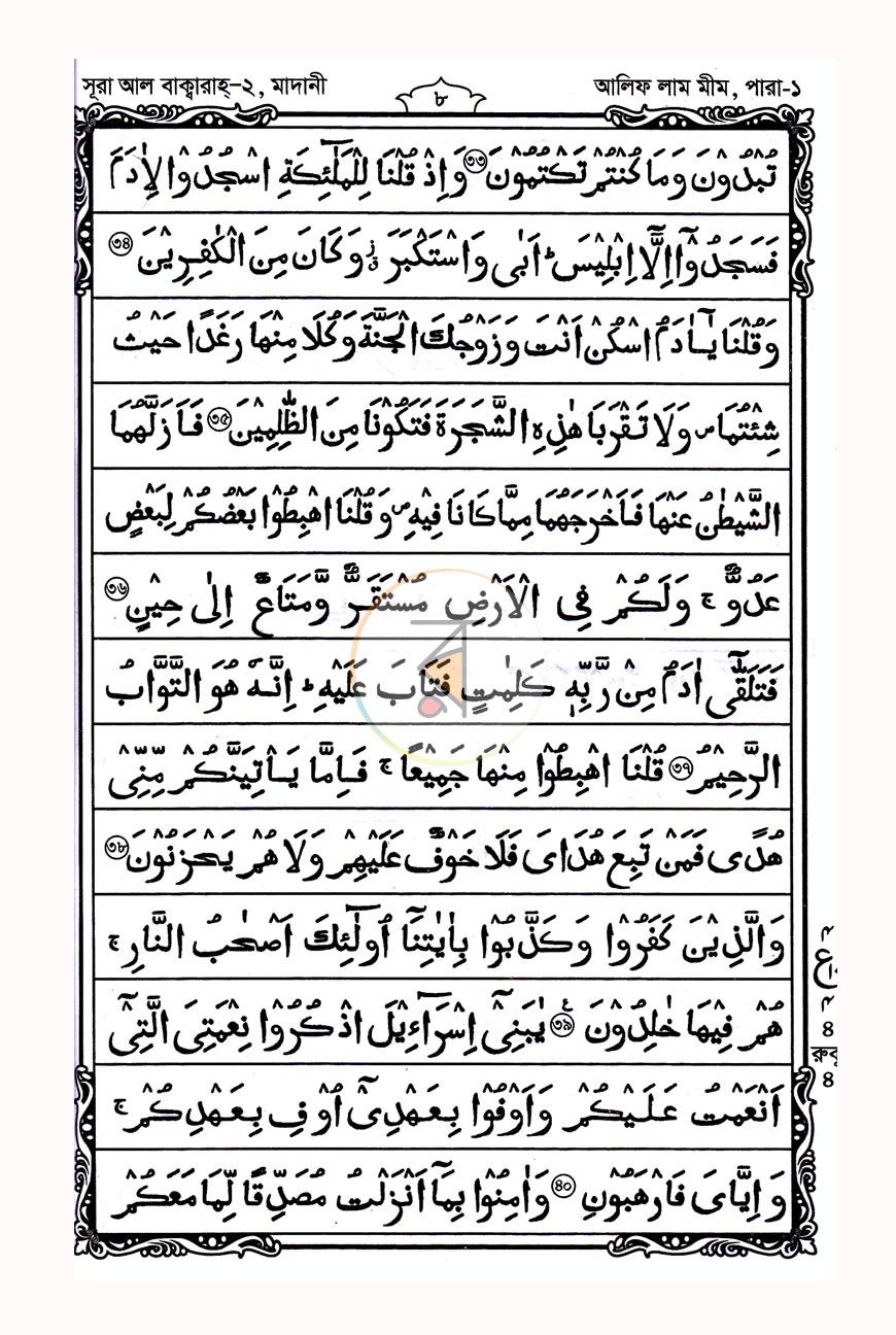 পাতা 10
