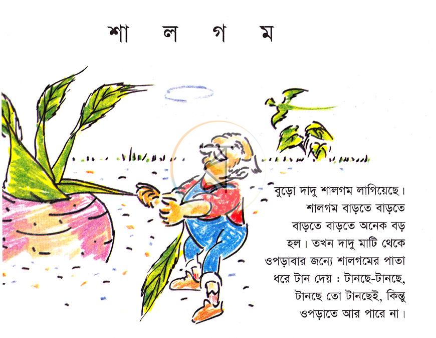 পাতা 2