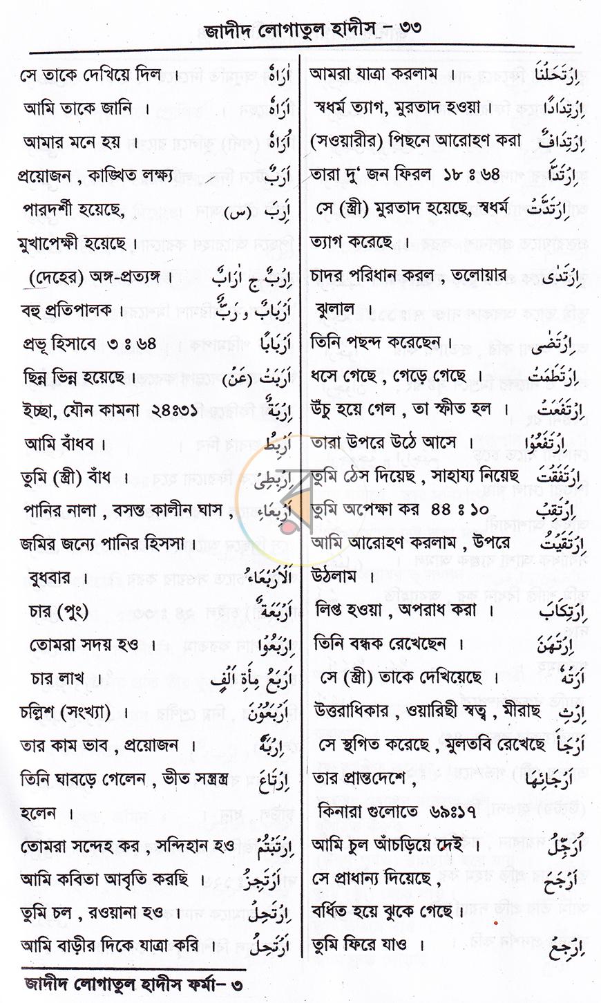 পাতা 13