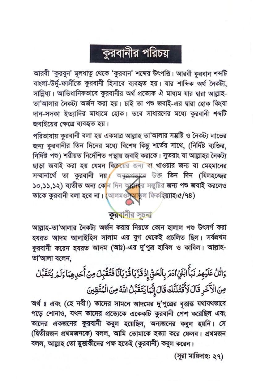 পাতা 11