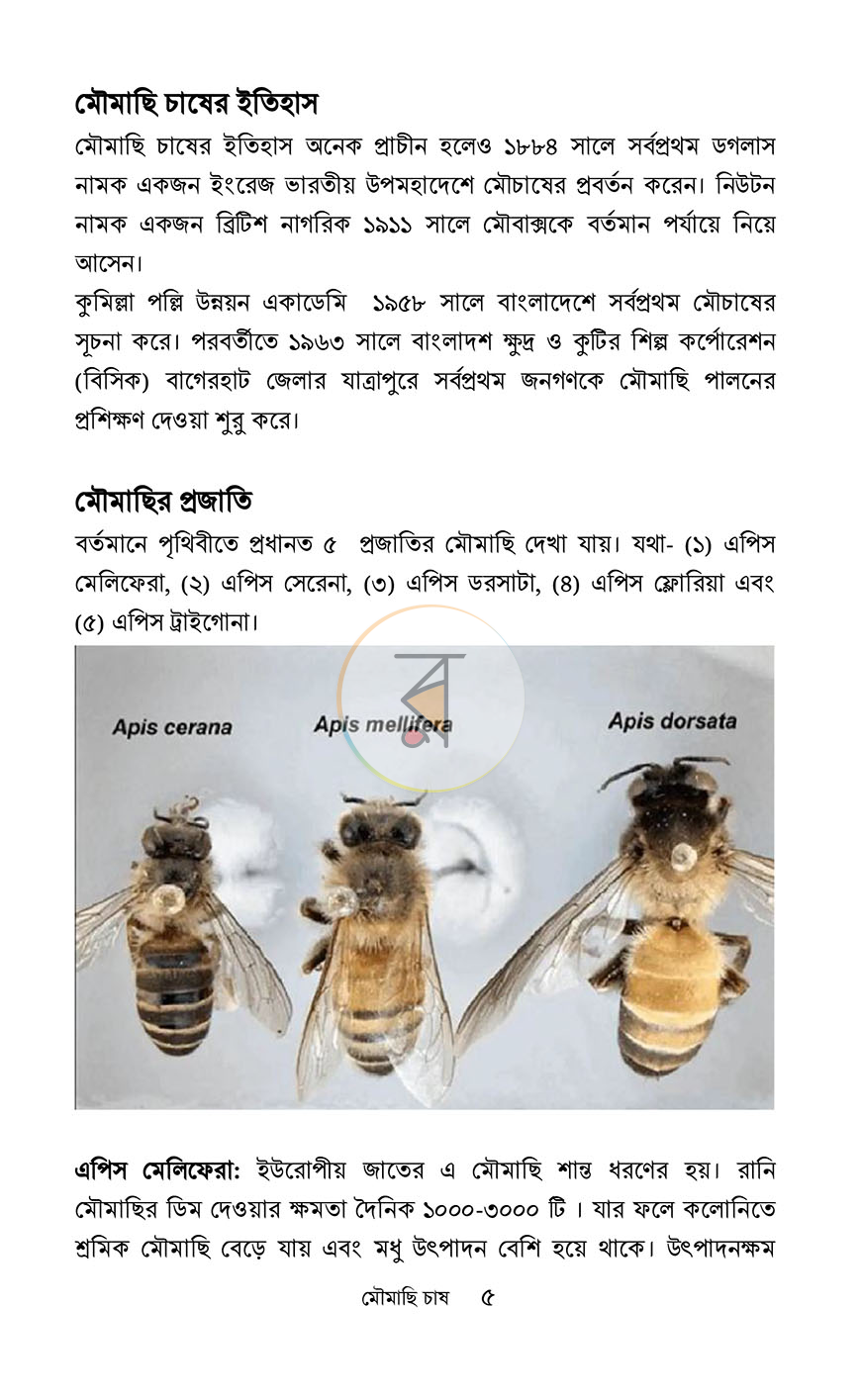 পাতা 3