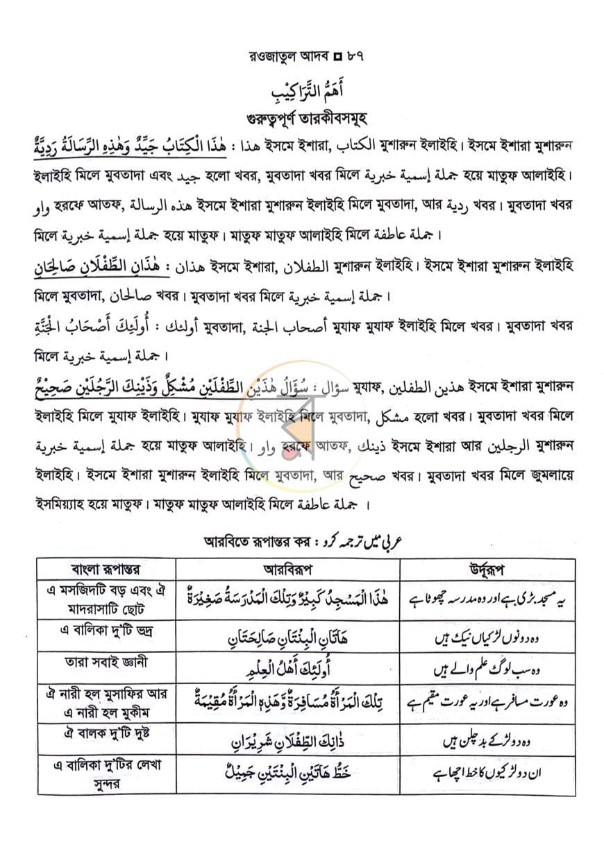 পাতা 11