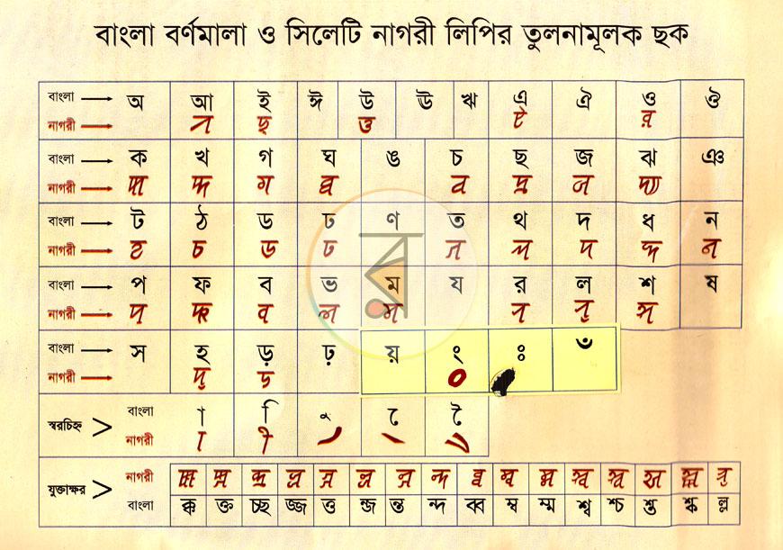 পাতা 2