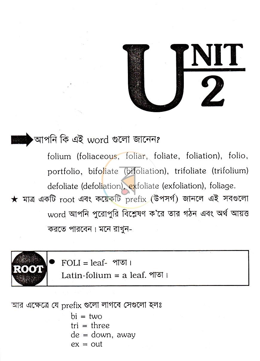 পাতা 13