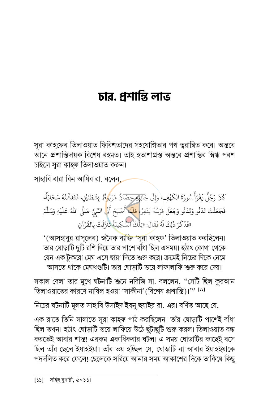 পাতা 13