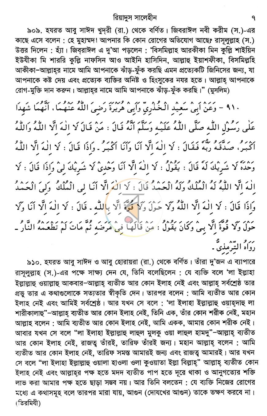 পাতা 11