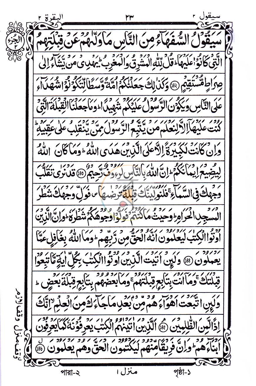 পাতা 11