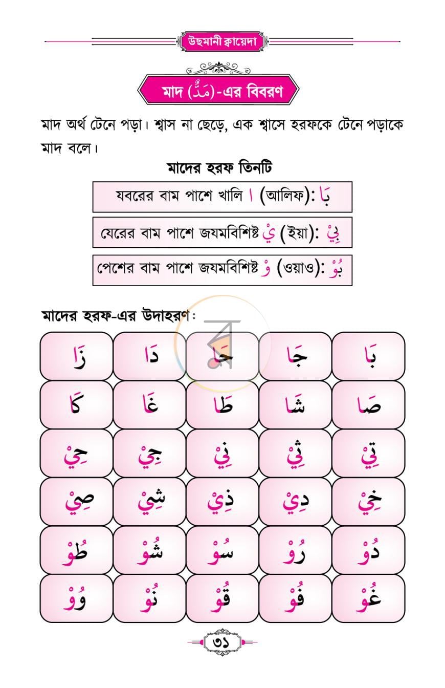 পাতা 13