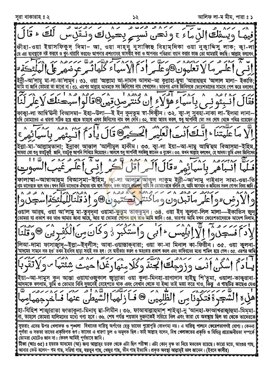 পাতা 9