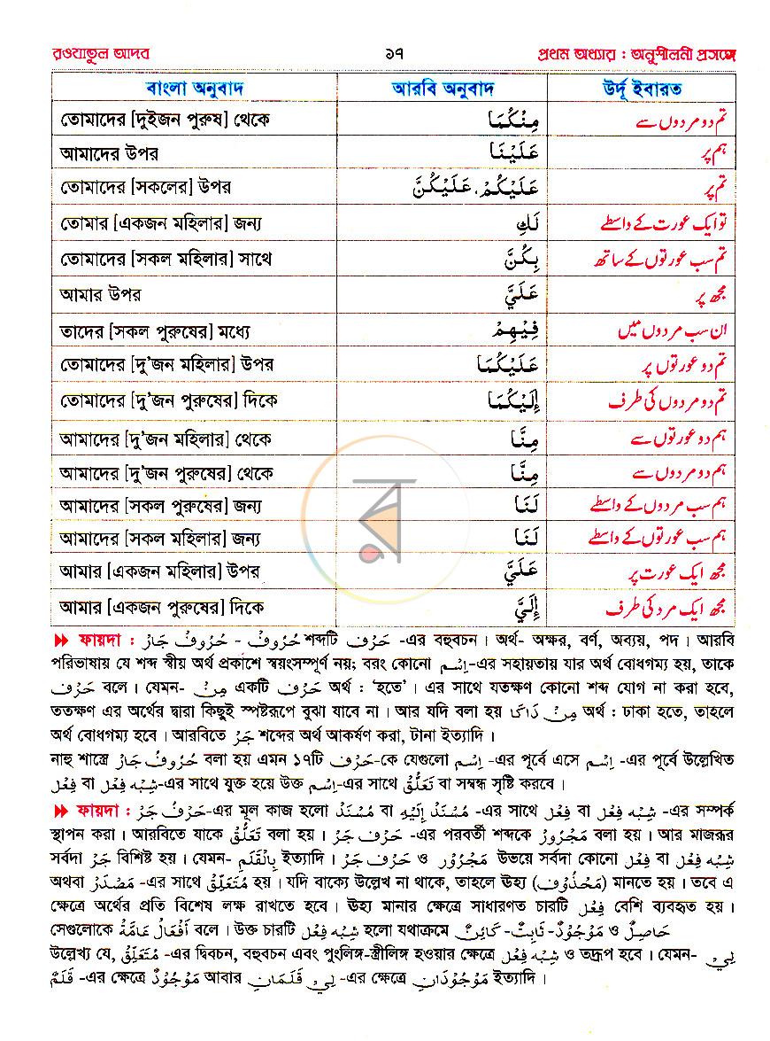 পাতা 10