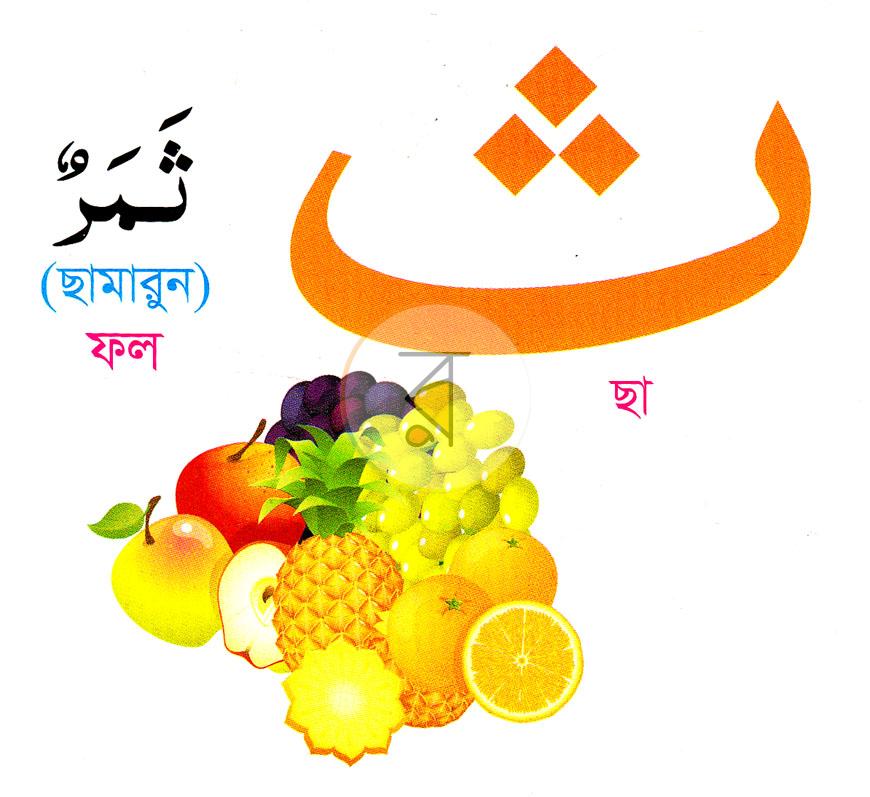 পাতা 4