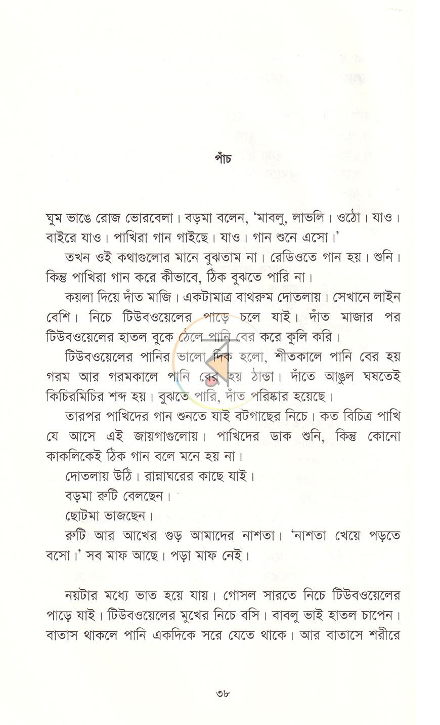 পাতা 13