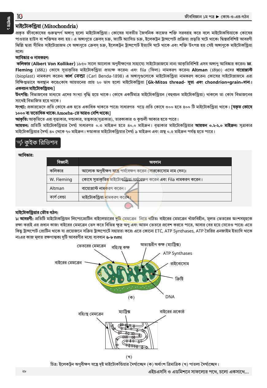 পাতা 24