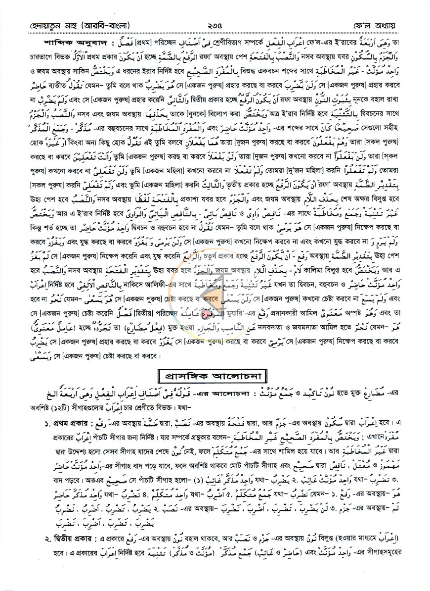পাতা 10