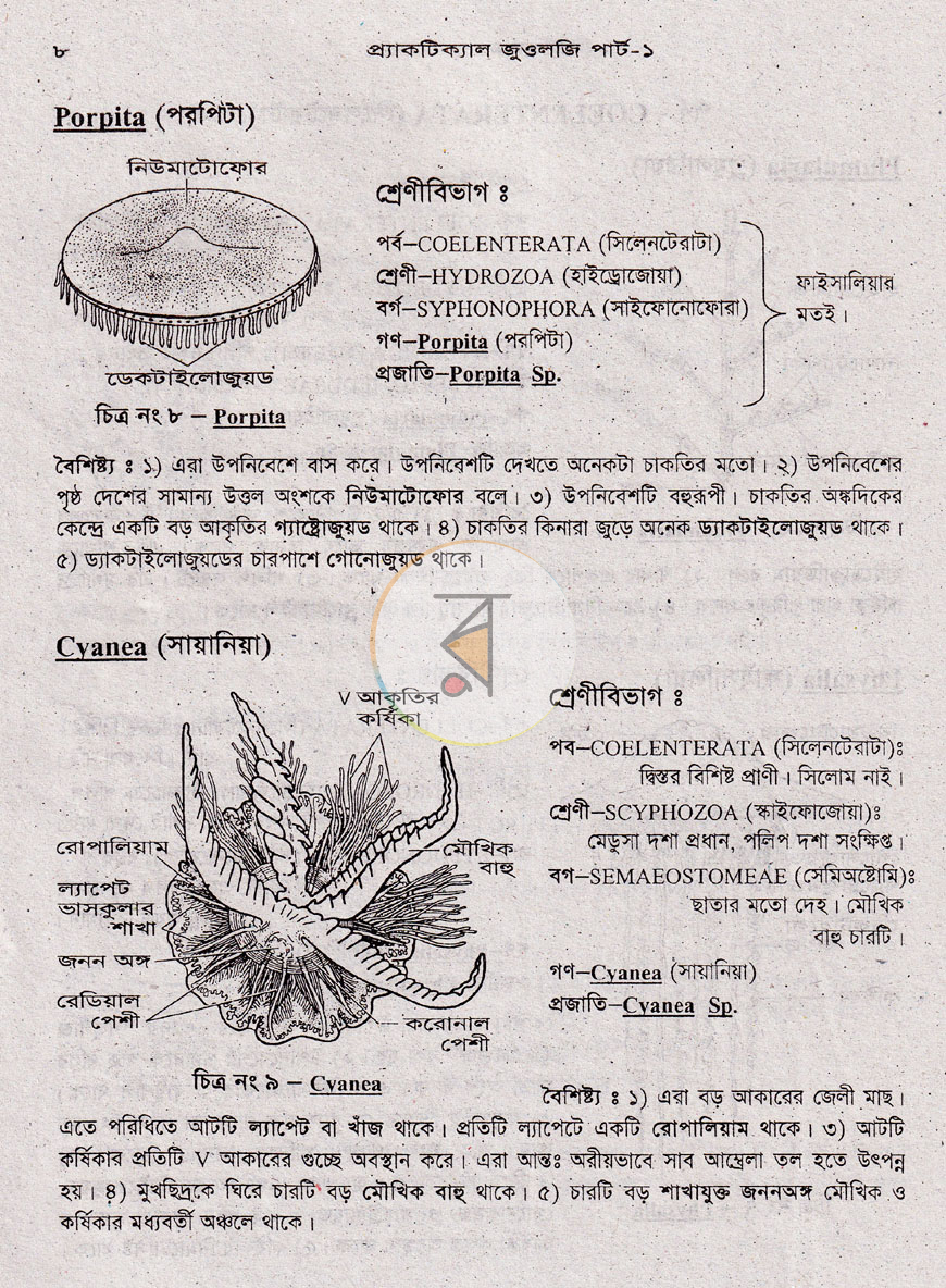 পাতা 12