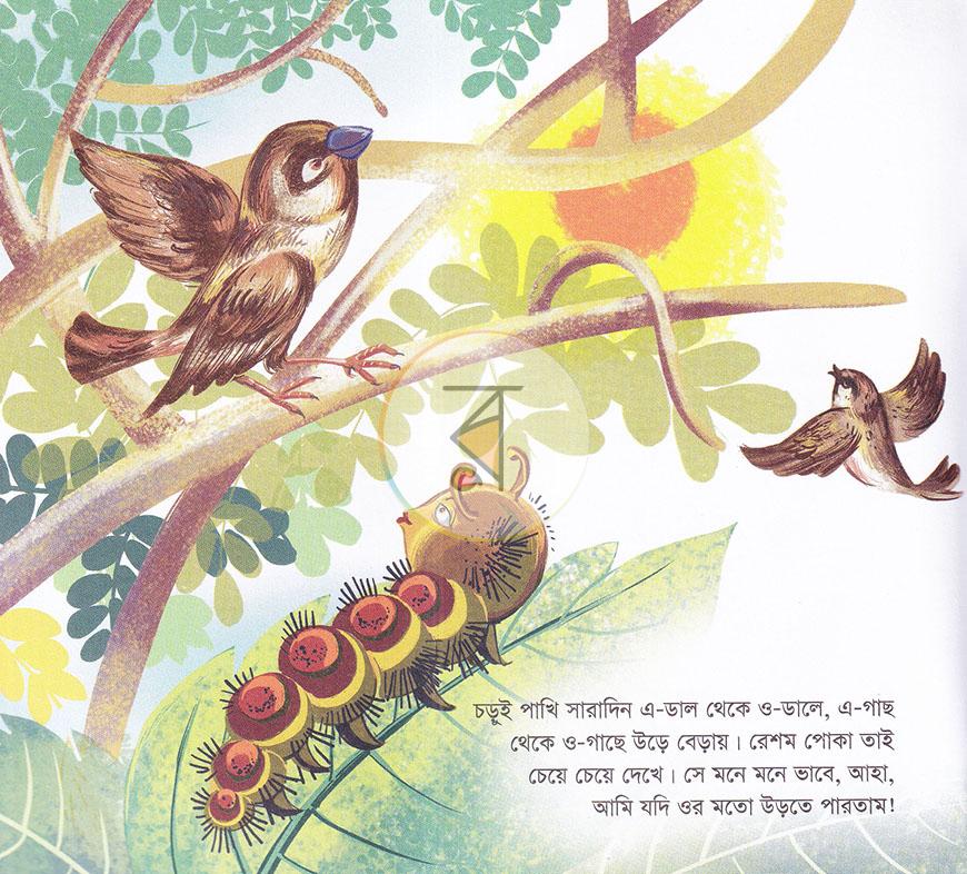 পাতা 2