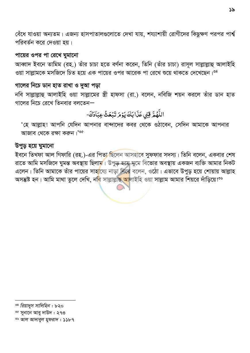পাতা 19