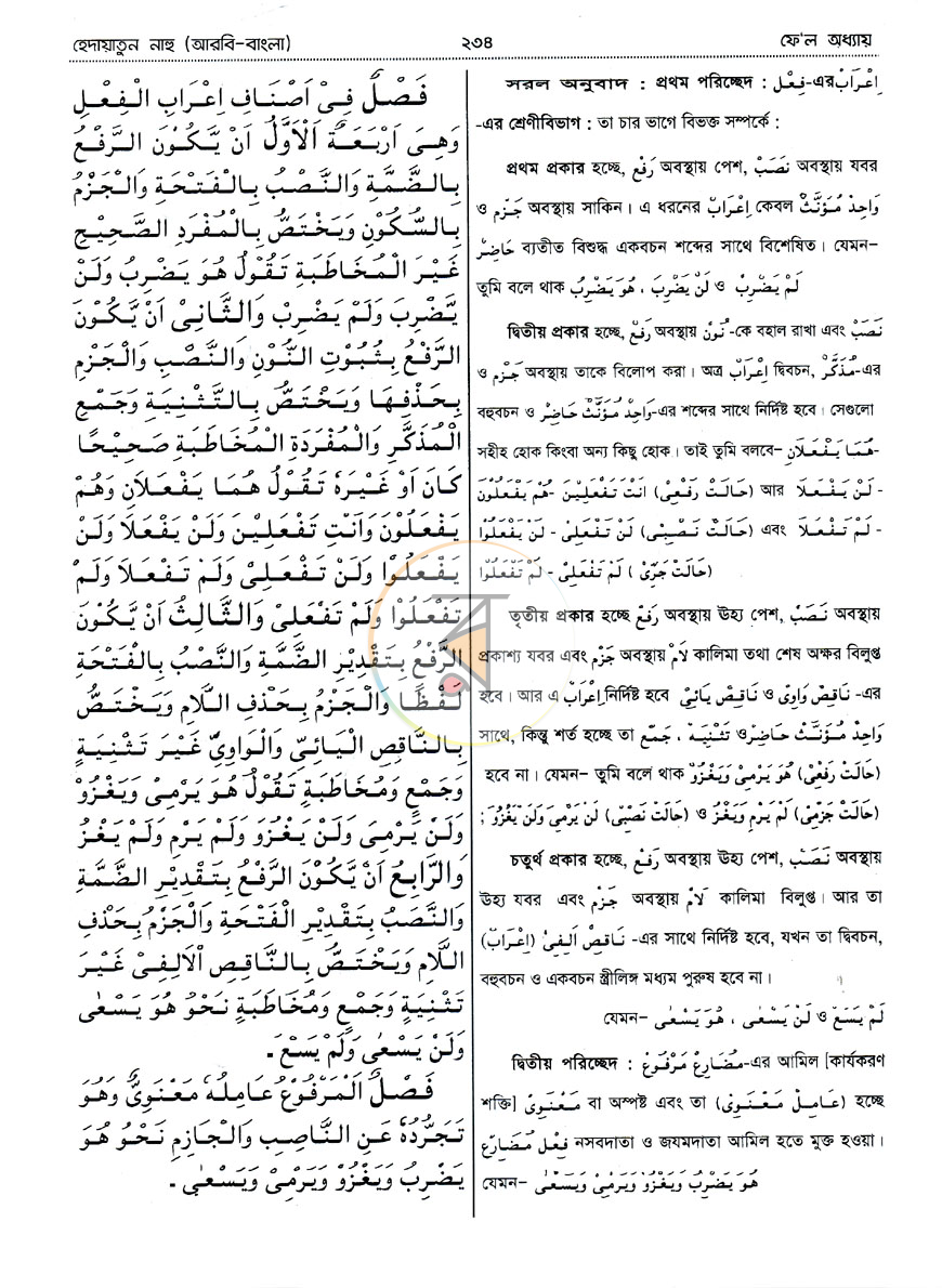 পাতা 9