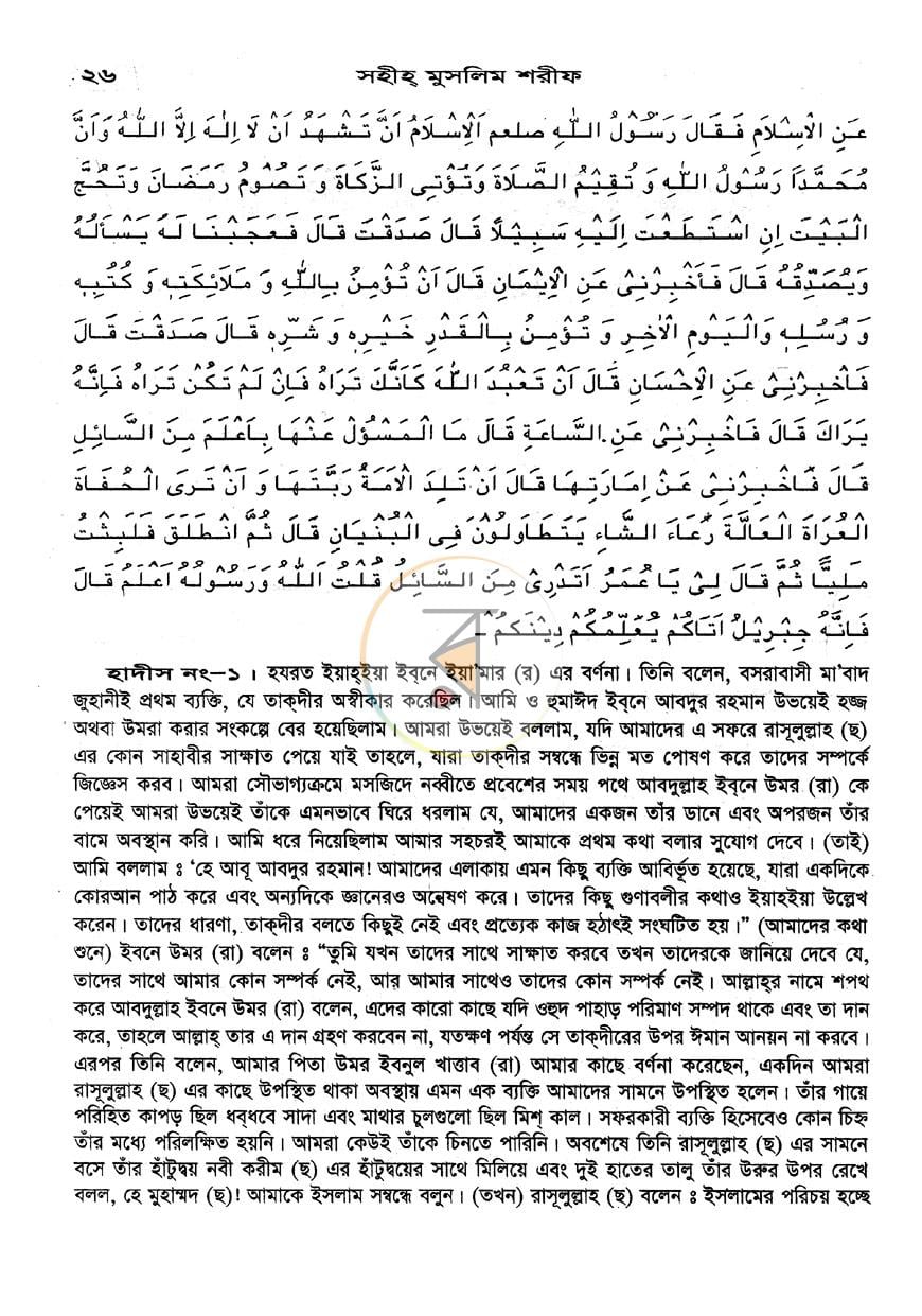 পাতা 10