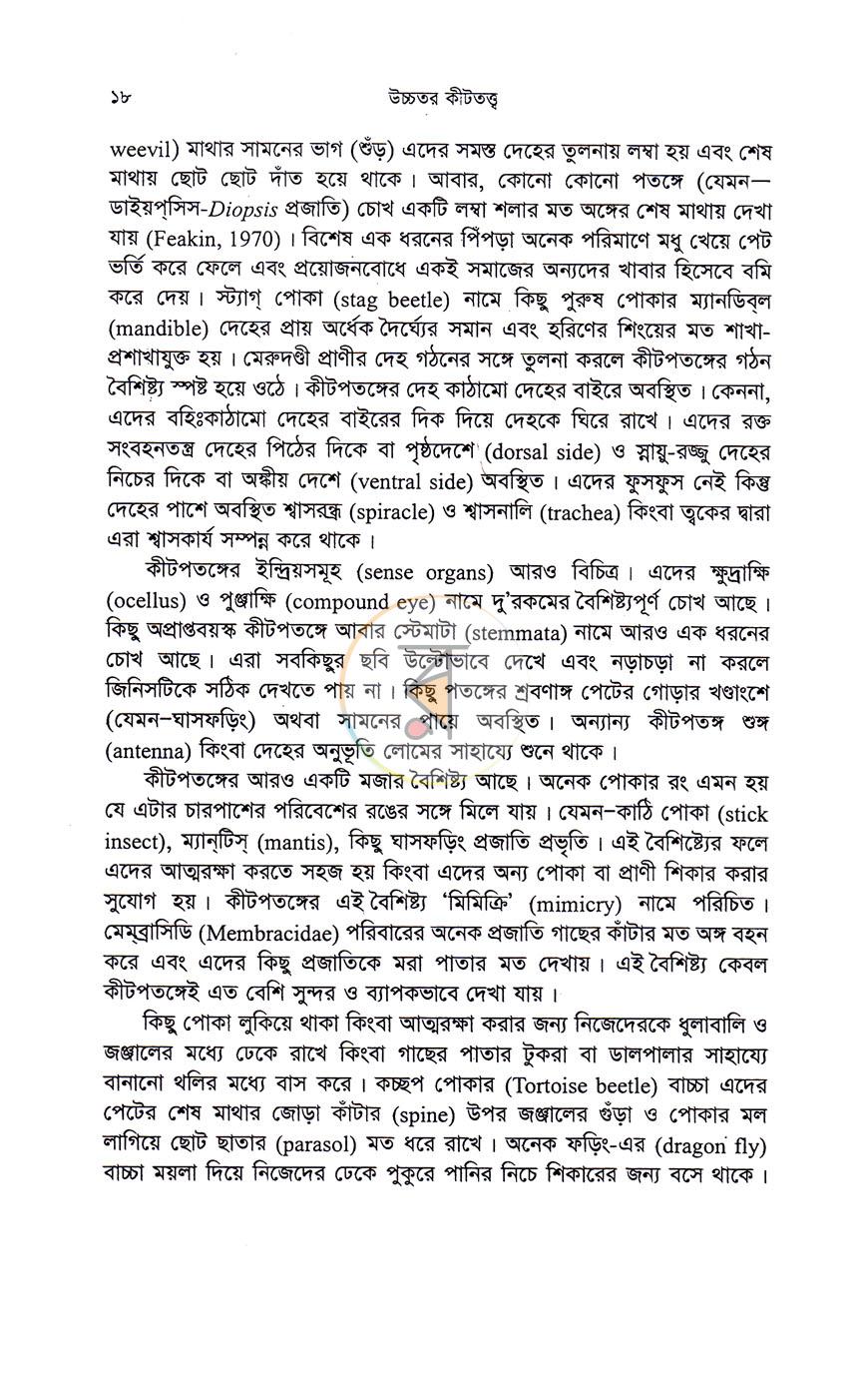 পাতা 7
