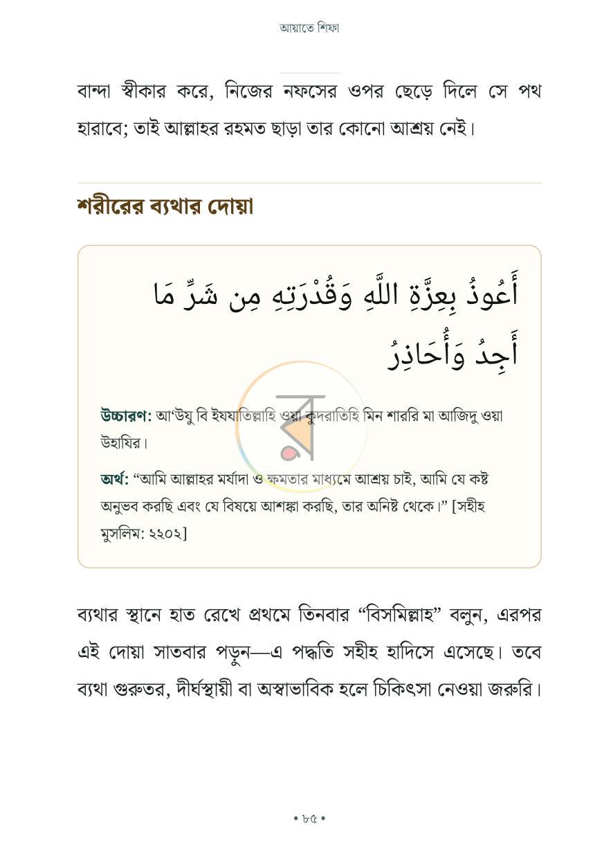 পাতা 31