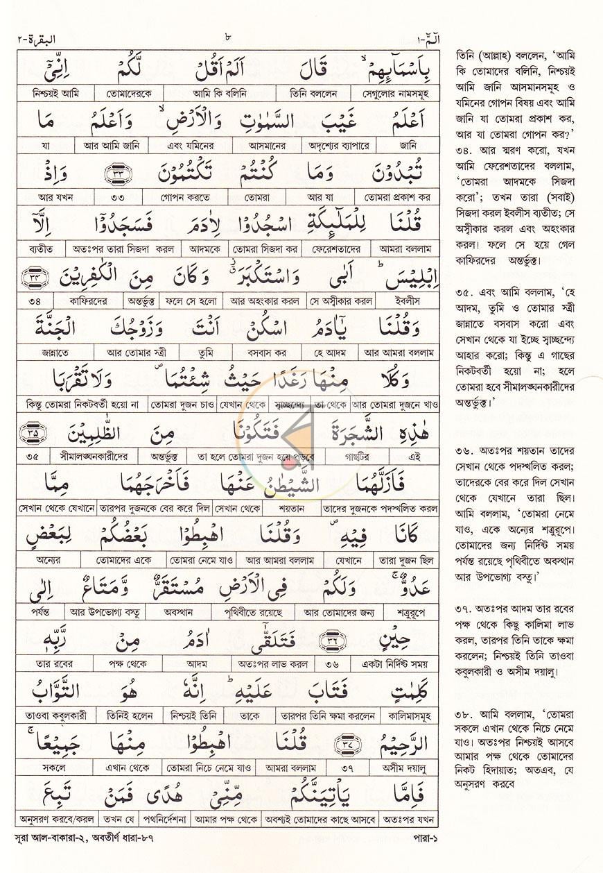 পাতা 13