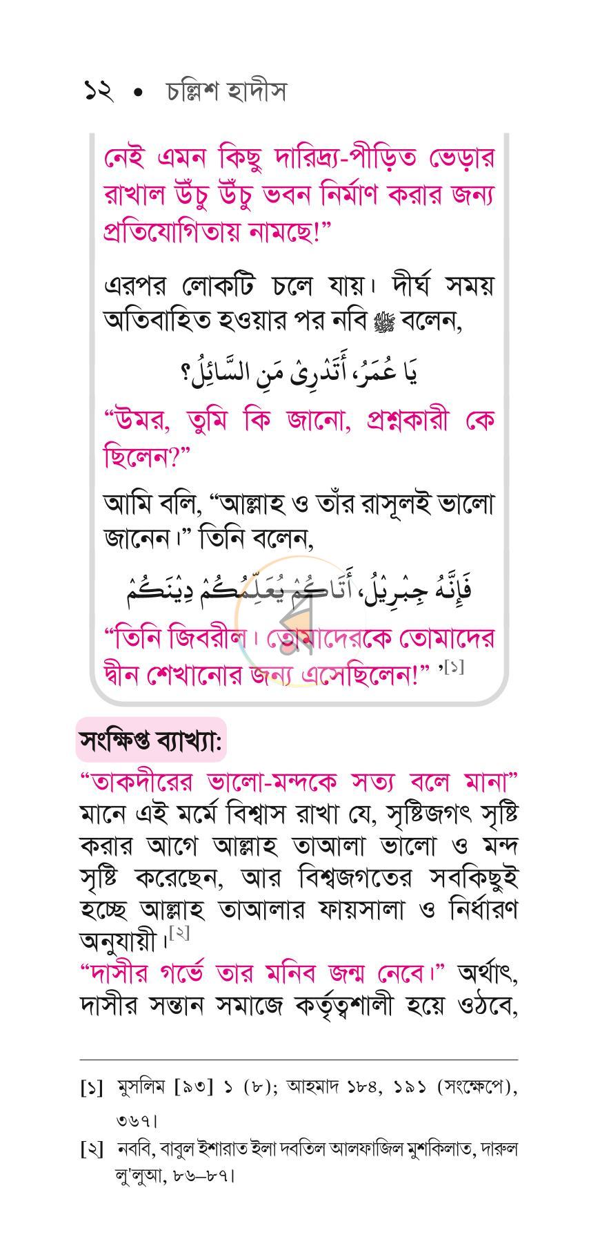 পাতা 11