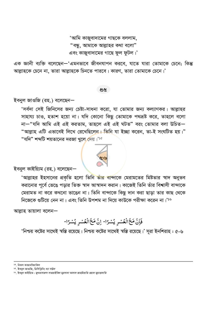 পাতা 11