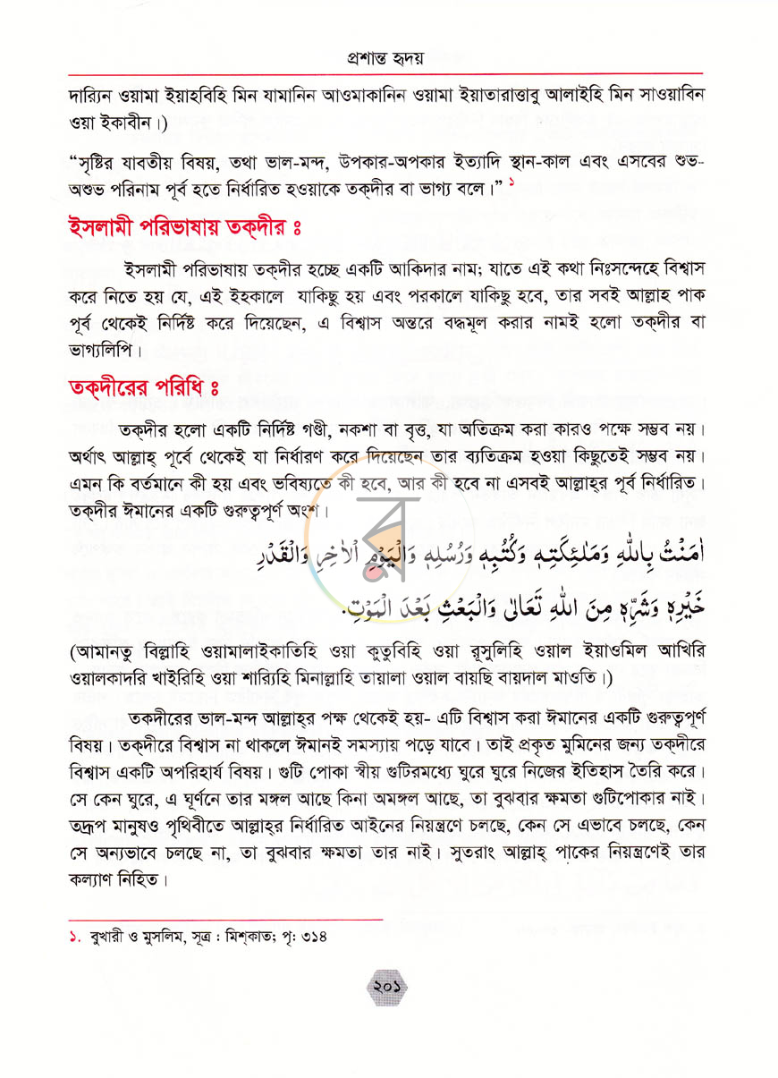 পাতা 13