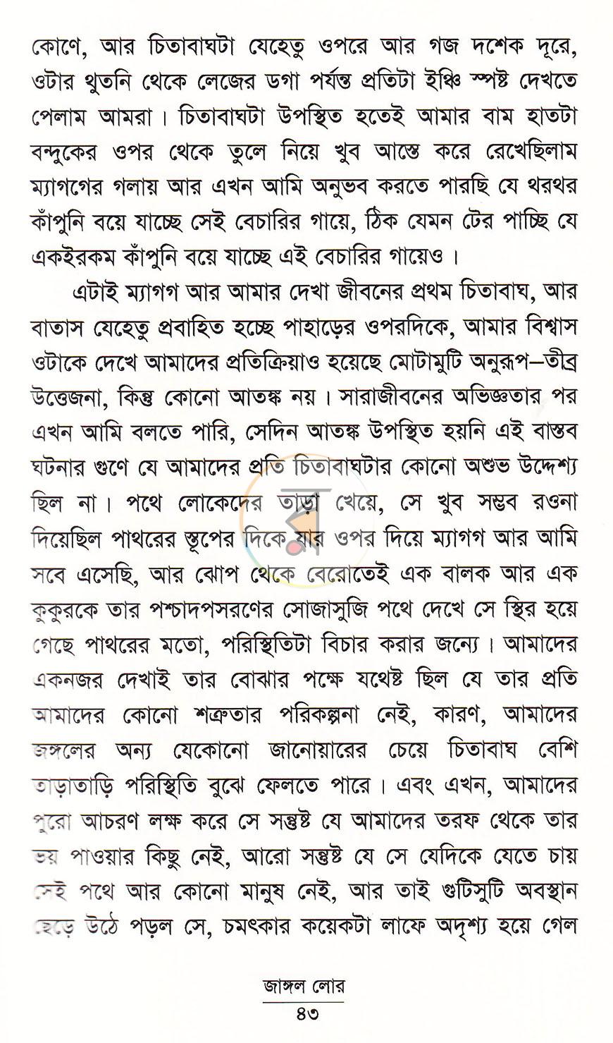পাতা 13