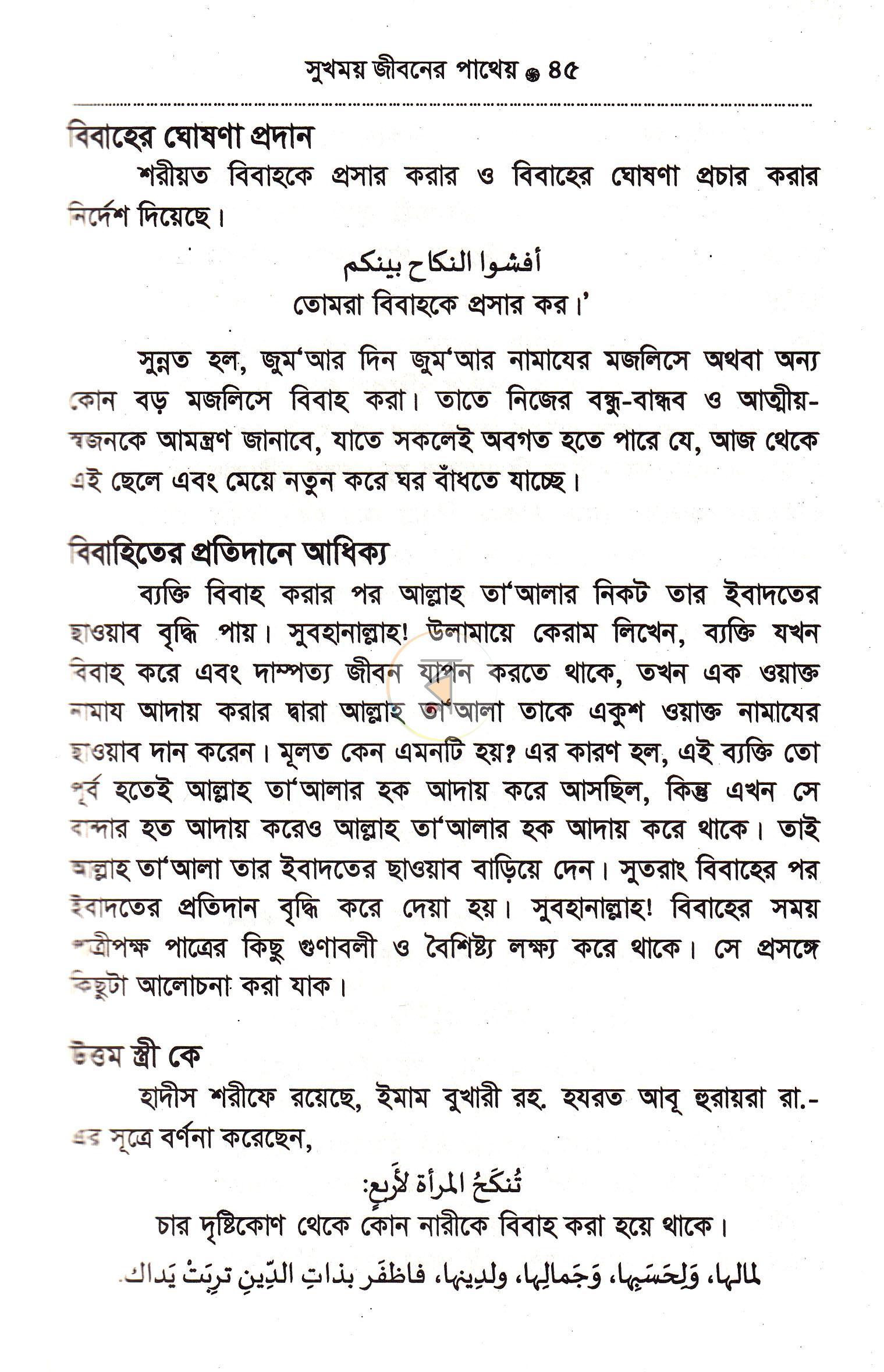 পাতা 14