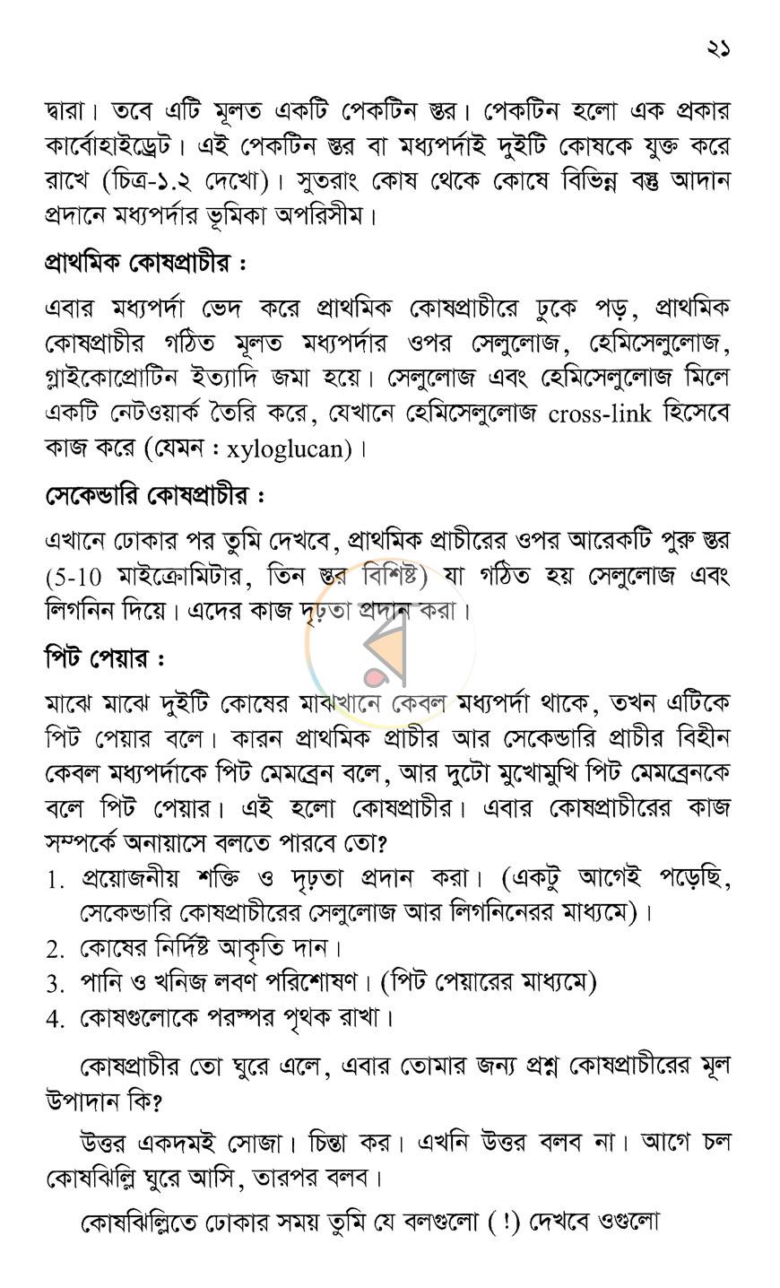 পাতা 12