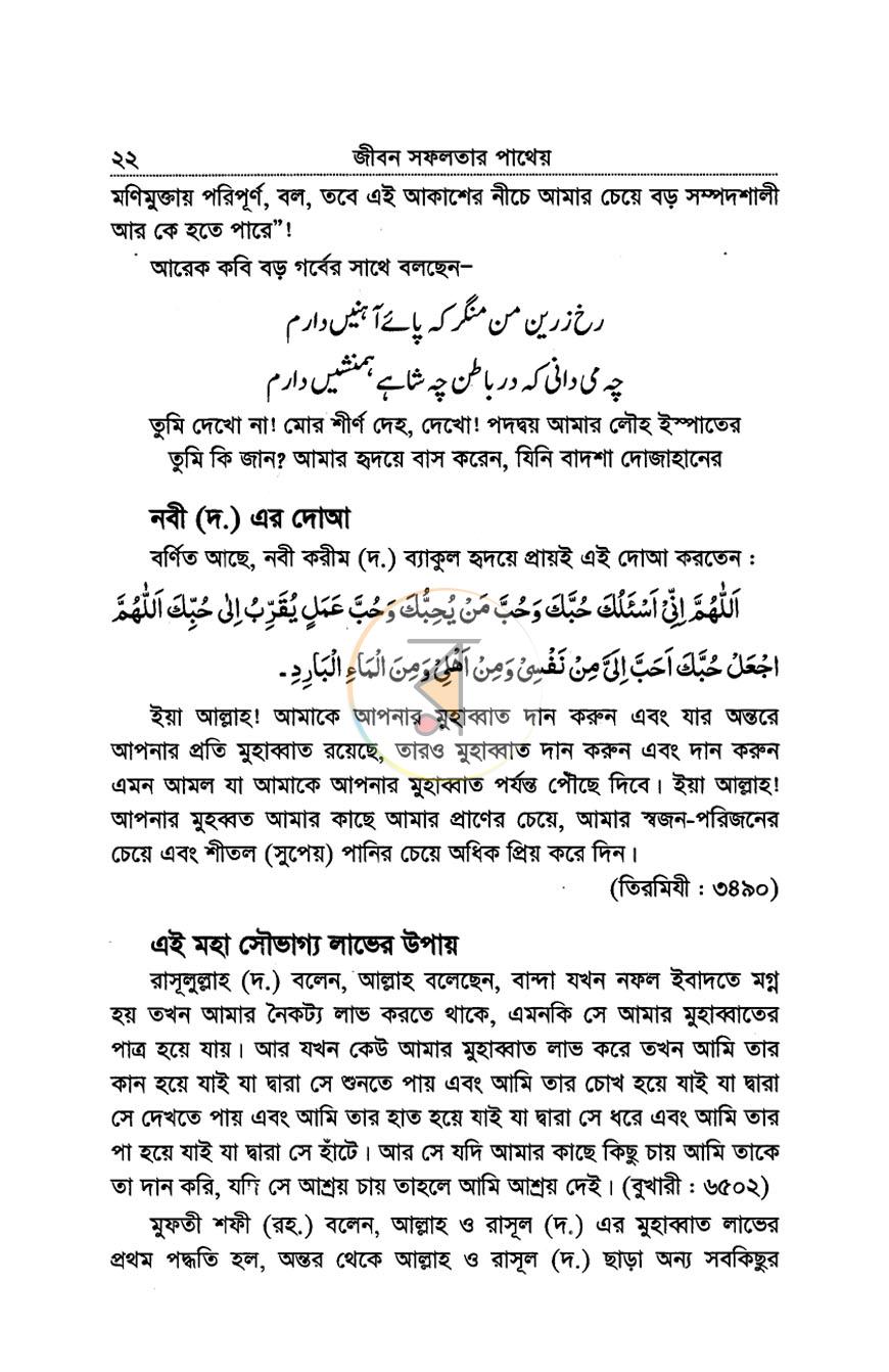 পাতা 12