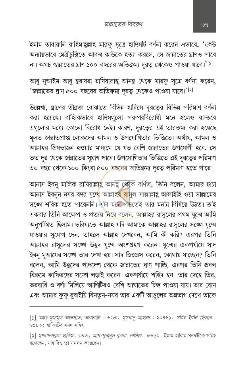পাতা 11